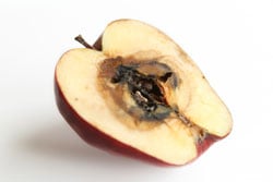 One Bad Apple One Bad Apple
